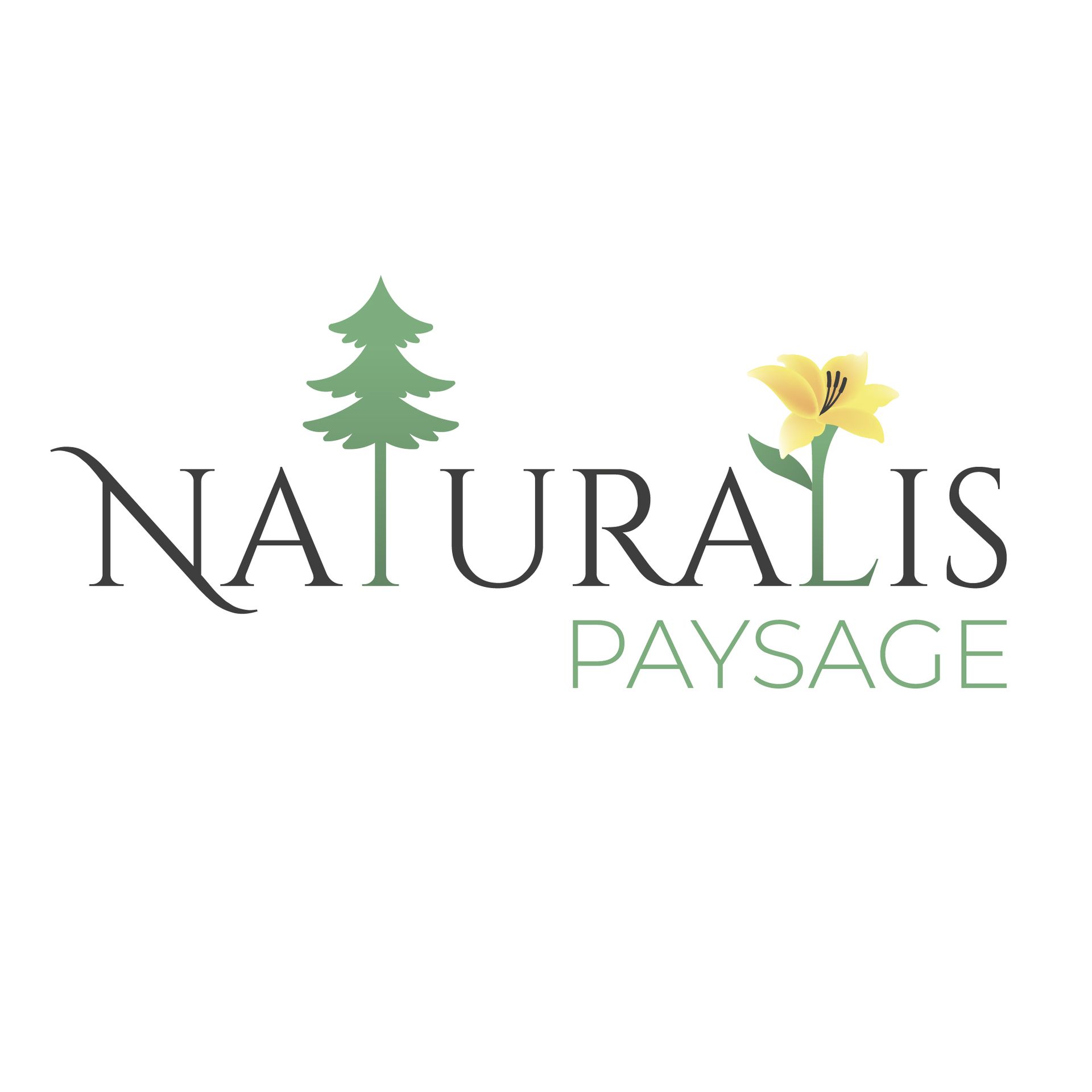 Naturalis Paysage